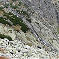 Tatry Słowackie - Vychodna Vysoka